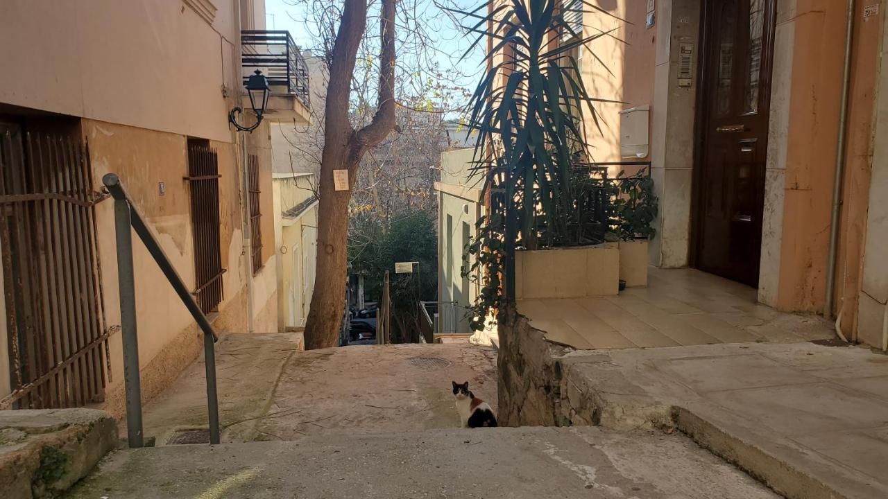 Sakura Hut Opposite The Panathenaic Stadium Εξωτερικό φωτογραφία
